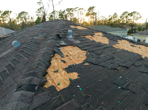 Best Asphalt Shingle Roofing  in Wells Branch, TX